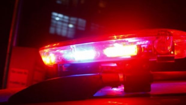 CASOS DE POLÍCIA II