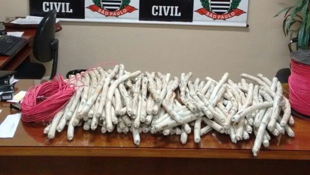 Casal é flagrado com 98 bananas de dinamite em Itararé