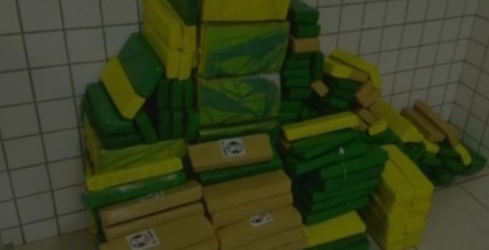 Polícia apreende 241 kg de maconha na Rodovia Castello Branco