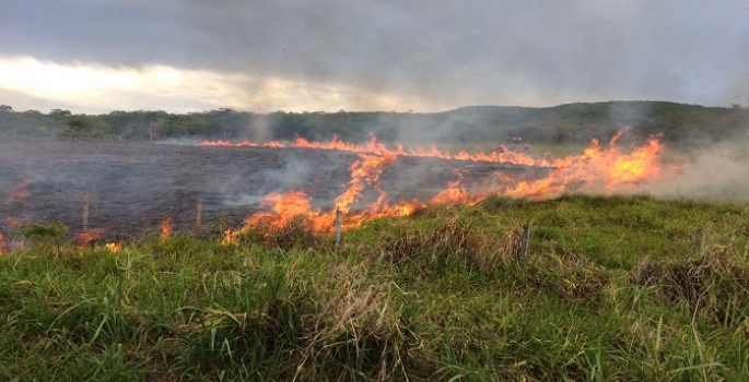Secretaria alerta sobre riscos de incêndios em áreas rurais