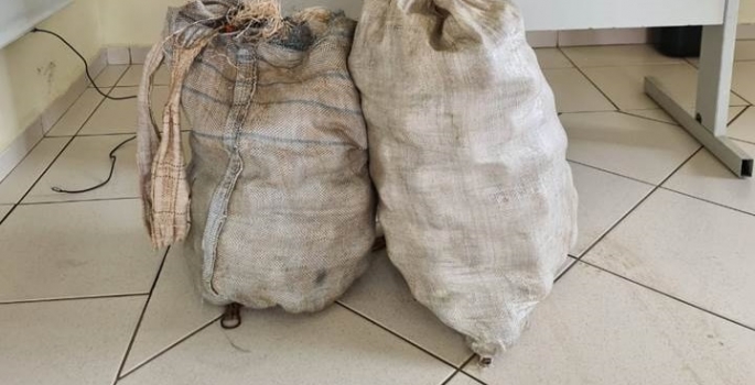 Casal é preso pela PM furtando laranja na área rural para revender em Avaré