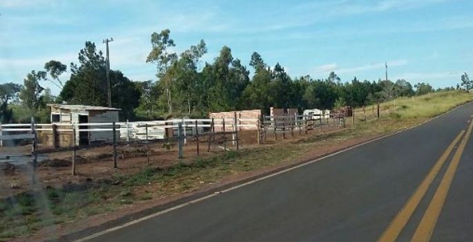 Novas invasões de terra estão ocorrendo em Avaré