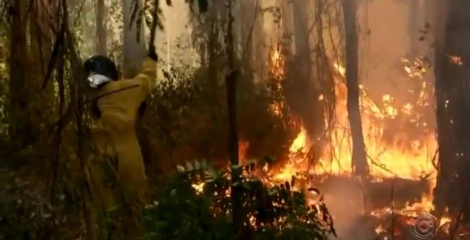 Incêndio atinge área de vegetação no Horto florestal de Avaré
