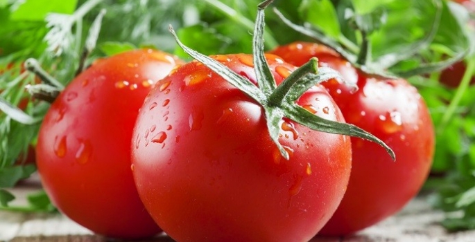 PAPO COM A MAGALI – Os benefícios do Tomate