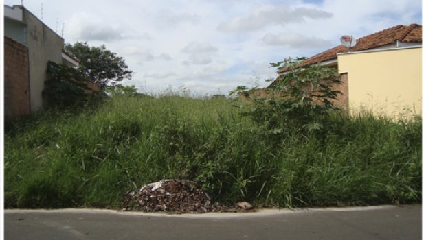 Mantenha seu terreno limpo e evite ser multado