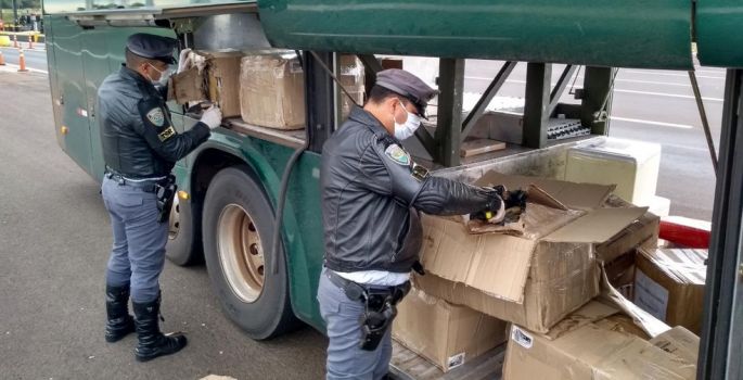 Caixas abarrotadas com tijolos de maconha e skunk são encontradas em ônibus na rodovia Castello Bran