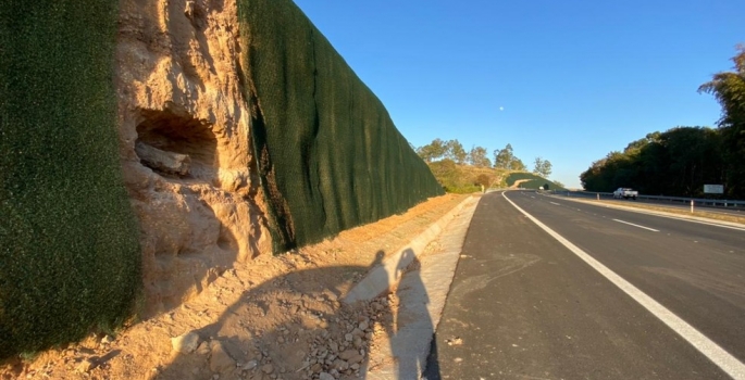 Fóssil achado em rodovia pode ser de espécie de Titanossauro descoberto nos anos 2000