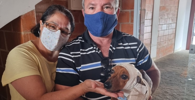 Adotado, cachorro que foi enterrado vivo reencontra casal que o resgatou