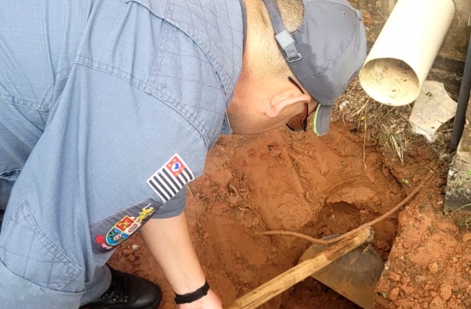 Bombeiros resgatam filhote de gato preso em tubulação de fábrica em Avaré