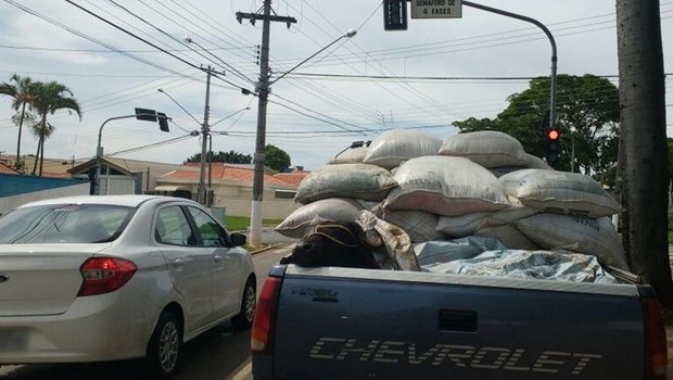 Crime vergonhoso: Maltrato contra animais é flagrado