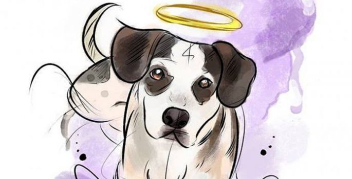 O único animal que mata por ódio é o bicho homem