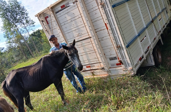Zé Viveiro: uma vida dedicada à proteção da comunidade avareense