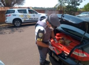 TOR prende 3 por tráfico depois de suspeitar de carro estacionado em rodoviária