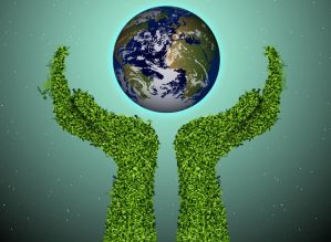 DIA MUNDIAL DO MEIO AMBIENTE, MAS AVARÉ IGNORA A DATA