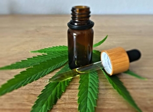 Tarcísio sanciona lei que permite distribuição de Cannabis medicinal pelo SUS