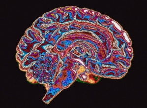 Os seres humanos são corruptos por natureza? O que diz a neurociência