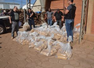 Polícia Civil incinera mais de 1/2 tonelada de maconha