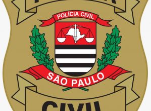 Polícia Civil investiga furto de 21 cabeças de gado bovino