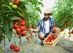 Projeto “Jovem Agricultor do Futuro” está com inscrições abertas