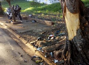 Adolescente morre ao bater moto em árvore em Avaré