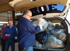 Polícia Civil incinera mais de 100 KG quilos de drogas
