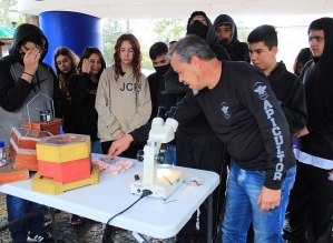 Dia Nacional da Abelha é celebrado com exposição na Concha Acústica