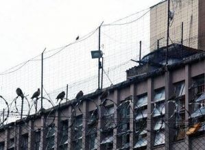 Em um mês, 12 presos morrem por causa da Covid-19 no estado de SP