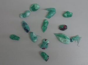 Após denúncia, traficante é flagrado com drogas pela PM em Avaré