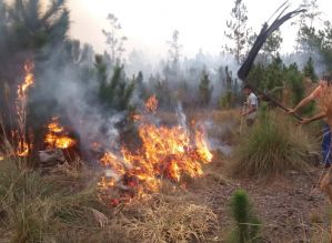 Incêndio ambiental atinge assentamento Zumbi dos Palmares em Iaras
