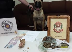 Com ajuda de cão, Polícia encontra droga enterrada e dupla é presa por tráfico