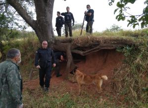 Com cães farejadores, PC encontra drogas e prende 4 por tráfico em Avaré