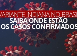 Brasil registra 1ª morte pela variante Delta do coronavírus; 5 Estados notificaram 11 casos