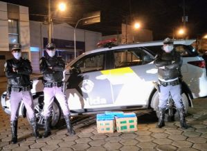 TOR prende traficante que levava drogas com mãe e recém-nascida