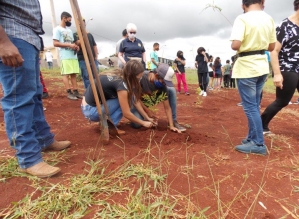 Rotary avança Projeto de plantio de árvores em Arandu
