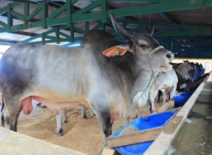 Capacitação e apoio a produtores rurais foram foco da Agricultura