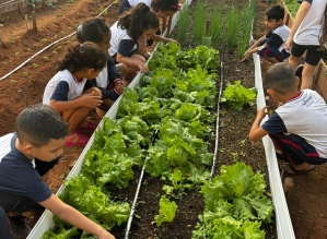 Horta escolar coloca alunos como protagonistas em projeto de educação ambiental