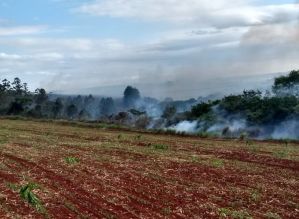 Área de preservação ambiental pega fogo em Cerqueira César