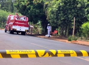 Itatinga: homem morre após ser picado por abelhas na Castelo Branco