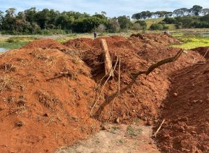 Reunião decidirá rumos quanto a suposto recebimento ilegal de terra por Abelardo Mendes