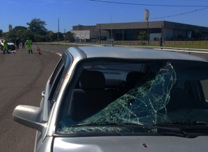 Homem morre atropelado na Rondon em Botucatu