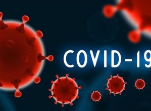 Dados da covid em Avaré ( dia 24)
