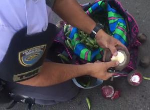 TOR prende boliviana com drogas na Castello Branco