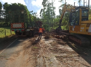 Carreta tomba e derruba toras de madeira em vicinal de Itatinga