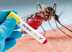 Avaré está na lista de municípios em alerta para surto dengue