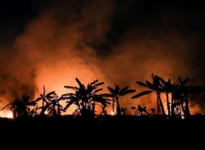 Terra atinge dia da sobrecarga quase um mês antes do previsto