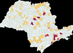 Covid: São Paulo já tem 