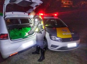 Polícia Rodoviária apreende mais de 400 tijolos de maconha em porta-malas de carro em Boituva