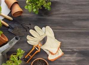 Curso “Seja um Jardineiro Profissional” está com inscrições abertas