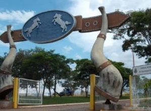 Prefeitura de Avaré poderá gastar até 60 mil reais com ração para bois