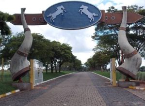 Prefeitura se manifesta sobre denúncia de maus-tratos na Emapa
